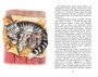 Рассказы о животных (Классная литература) 1975551648