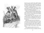 Рассказы о животных (Чтение-лучшее учение) 827911831