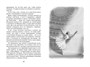 Кот-ворюга. Рассказы и сказки 1217689717