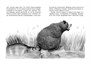 Кот-ворюга. Рассказы и сказки 1217689717