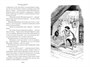 Таинственный сад. Маленький лорд Фаунтлерой 1668525816