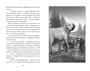 Верные. Книга 1. Когда исчезли все люди 1225891272