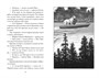 Верные. Книга 2. Тайна трёх колец 1468069835