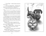 Верные. Книга 2. Тайна трёх колец 1468069835