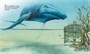 Слонёнок и другие сказки (Книги с иллюстрациями Роберта Ингпена) 529428953