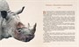Слонёнок и другие сказки (Книги с иллюстрациями Роберта Ингпена) 529428953