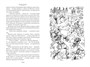 Король Матиуш Первый. Антось-волшебник 1920469629