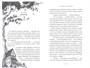Тридцать три несчастья. Том 2. Небывалые неприятности 1079016025