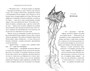 Тридцать три несчастья. Том 1. Злоключения начинаются 770429548