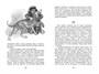 Лисичкин хлеб (илл) 821551325