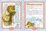 Паровозик из Ромашково (Любимые книжки-мультфильмы) 1230461361