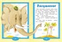 Паровозик из Ромашково (Любимые книжки-мультфильмы) 1230461361