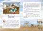 Пираты Кошачьего моря. Книга 6. Поймать легенду! 641058112