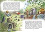 Сюрприз на день рождения 1697252604