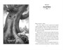 Верные. Книга 3. Дорога чудес и невзгод 1753267549