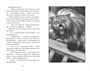 Верные. Книга 3. Дорога чудес и невзгод 1753267549