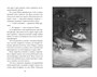 Верные. Книга 3. Дорога чудес и невзгод 1753267549