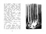 Невидимая девочка и другие истории (Чтение-лучшее учение) 1879303635
