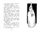 Невидимая девочка и другие истории (Чтение-лучшее учение) 1879303635