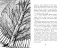 Фамильяры. Книга 2. Загадки Короны 1932528651