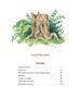 Волшебное кольцо (илл) 456599879