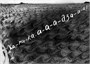 Как приручить дракона. Кн.8. Как освободить дракона 203461549