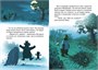 Лесной воришка (илл) 1878147055