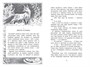 Бесшабашный. Книга 1. Камень во плоти 1335477812