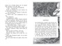 Бесшабашный. Книга 1. Камень во плоти 1335477812