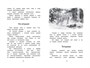 Год в лесу 1966632294