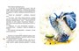 Комплект "Книги Волкова" (из 6 книг) 2063993252