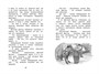 Волшебная пилюля, или Приключения жёлтого чемоданчика - 2 1586828492