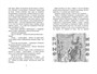 Капитан Соври-голова (твердый) 1292869527