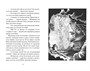 Ведьмина служба доставки. Кн.4. Кики и её любовь 2076930954