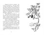 Ведьмина служба доставки. Кн.3. Кики и другая ведьма 1374272427