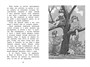 Дети с Горластой улицы (Чтение-лучшее учение) 1398278183