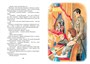 Шалуны и ротозеи (интегральный) 721341205