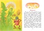 Медвежонок Тедди и другие сказки (интегральный) 1326436692