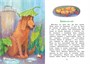 Медвежонок Тедди и другие сказки (интегральный) 1326436692
