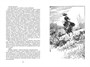 Чёрный Красавчик (архив) 300570887