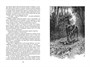 Чёрный Красавчик (архив) 300570887