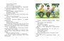 Фантазёры (Носов нашего детства) 660157080