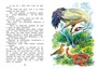 Где раки зимуют. Сказки и рассказы 855711283