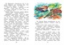 Где раки зимуют. Сказки и рассказы 855711283