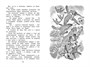 Как Лис Ежа перехитрил (илл. Виктор Бастрыкин и др.) 1920587356