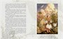 Дикие лебеди (иллюстр. А. Ломаева) (архив) 148140860