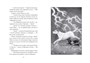 Верные. Книга 4. Дорога к дому 1426541647
