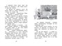 Удивительные приключения мальчика без тени и тени без мальчика (архив) 1871658613