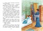Серая Шейка (интегральный) 2133337467