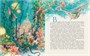 Русалочка (иллюстр. А. Ломаева) (илл. Антон Ломаев и др.) 1951576848